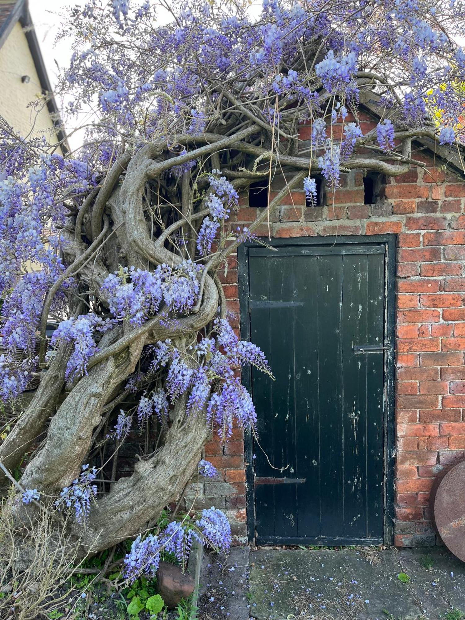 Bed and Breakfast Spenford House 1640 Listed House Idilic Location Pub Walking Distance à Loppington Extérieur photo